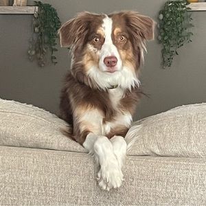 Meet your Posher, Nick